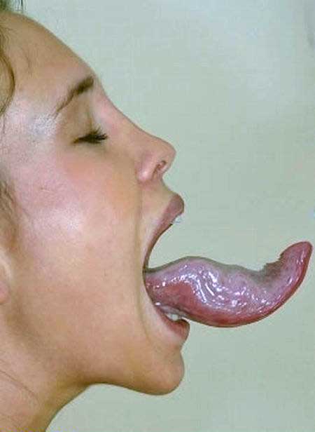 gallery_2_2_11472.jpg