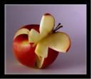 tn_gallery_2_2_39487.jpg